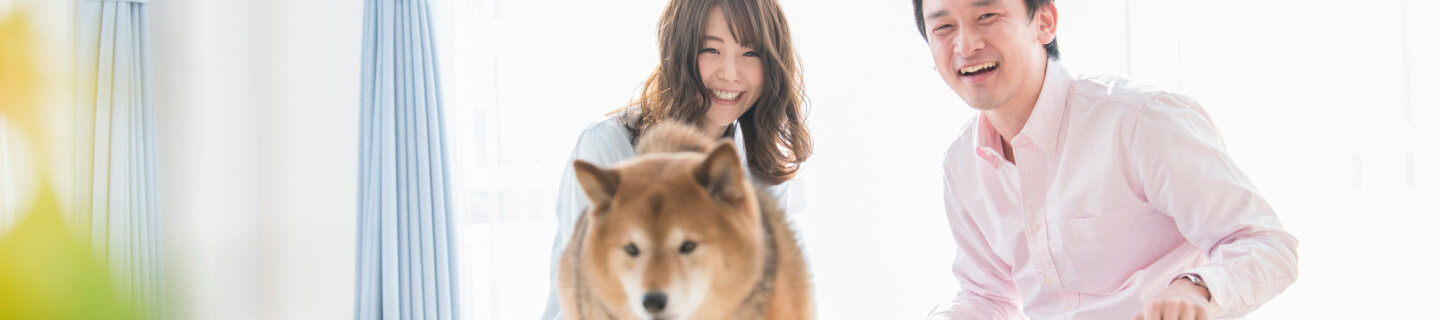 ペットケアマンション