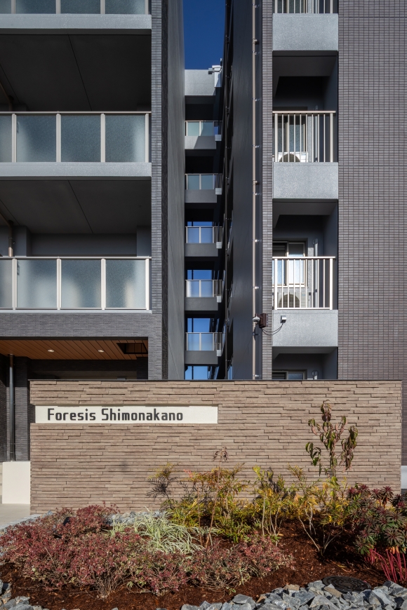 Ｆｏｒｅｓｉｓ　Ｓｈｉｍｏｎａｋａｎｏ